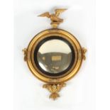 A 19th century carved giltwood framed convex mirror with eagle cresting & acanthus below, 44.
