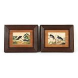 Property of a gentleman - a pair of 19th century Chinese paintings on pith paper depicting birds, in