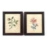Property of a gentleman - a pair of 19th century silkwork pictures depicting single stem flowers, in