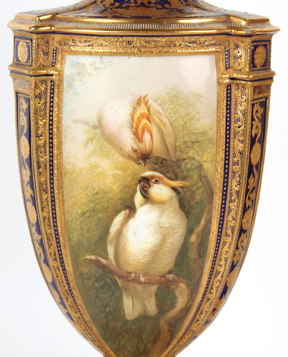 Property of a gentleman - a large pair of mid 19th century Coalport ornithological vases & covers, - Image 7 of 9