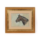 Property of a gentleman - NR (early 20th century) - PORTRAIT OF A HORSE, HEAD AND NECK -