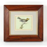 Property of a gentleman - a 19th century cut-out paper & watercolour picture of a bird on a