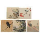 Japanese woodblock prints - Seiko Okuhara (1837-1913), and others - Birds - five early 20th