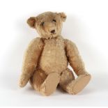 Property of a gentleman - an early 20th century teddy bear, probably German, with growler, long