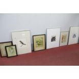 Various Prints and Drawing, including a Bartholomew map of Scotland, York Scene, Bird watercolour,