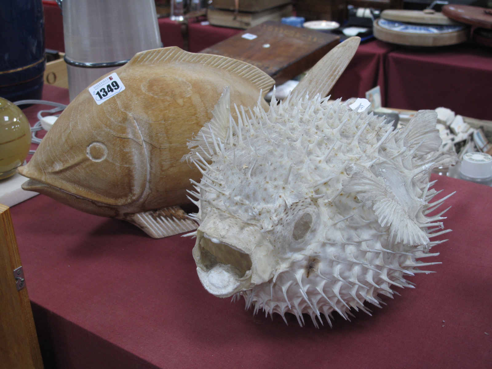 Puffer Fish, 38cm long, 23cm wide, 18cm high, carved wooden fish. (20