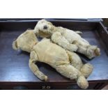 Two Gold Plush Teddy Bears, both jointed, but showing signs of wear, black stitched nose and paws,
