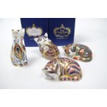 Four Royal Crown Derby Porcelain Paperweights; Playful Kitten, 9cm high, Catnip Kitten, Siamese