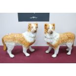 A Pair of Late XIX Century Staffiordshire Pottery Spaniels, in standing pose, each wearing a