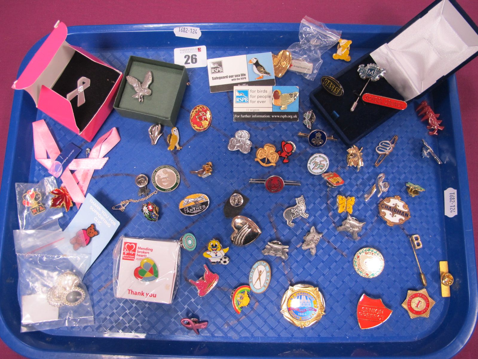 Enamel and Other Pins/Badges, including Girl Guides, RSPB, an "MG Owners Club 1973 - 1983