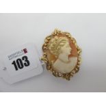 A Chester Hallmarked 9ct Gold Claw Set Oval Shell Carved Cameo Brooch, depicting female profile,