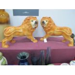 A Pair of XIX Century Staffordshire Lions, both having glass eyes, (one restored) 26cm high.