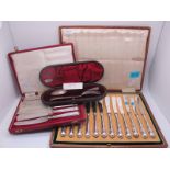 A Set of Twelve Hallmarked Silver Handled Tea Knives, in original fitted case; together with a cased