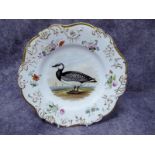 A Rockingham Porcelain Plate, the centre painted with an ornithological study of a 'Barnacle