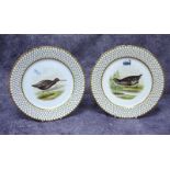 A Pair of Rockingham Porcelain Plates, each painted with a named ornithological study within