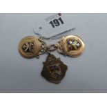 Three 9ct Gold Medallion Pendants, each highlighted in enamel (total weight 17.5grams). (3)