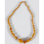 EGG YOLK AMBER NECKLACE