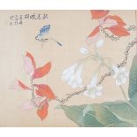 SET OF 5 CHINESE PAINTINGS