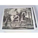 SET OF 12 EQUINE THEMED TABLE MATS