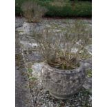 PAIR OF EARLY 20TH-CENTURY MOULDED STONE POTS