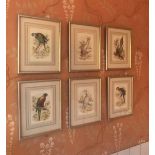 SET OF 6 19TH-CENTURY ORNITHOLOGICAL PRINTS