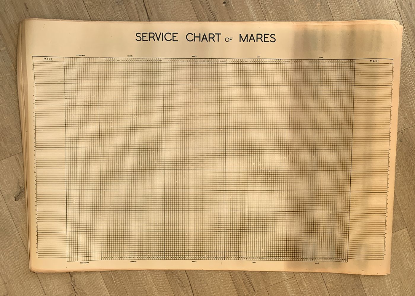 STUD CHARTS