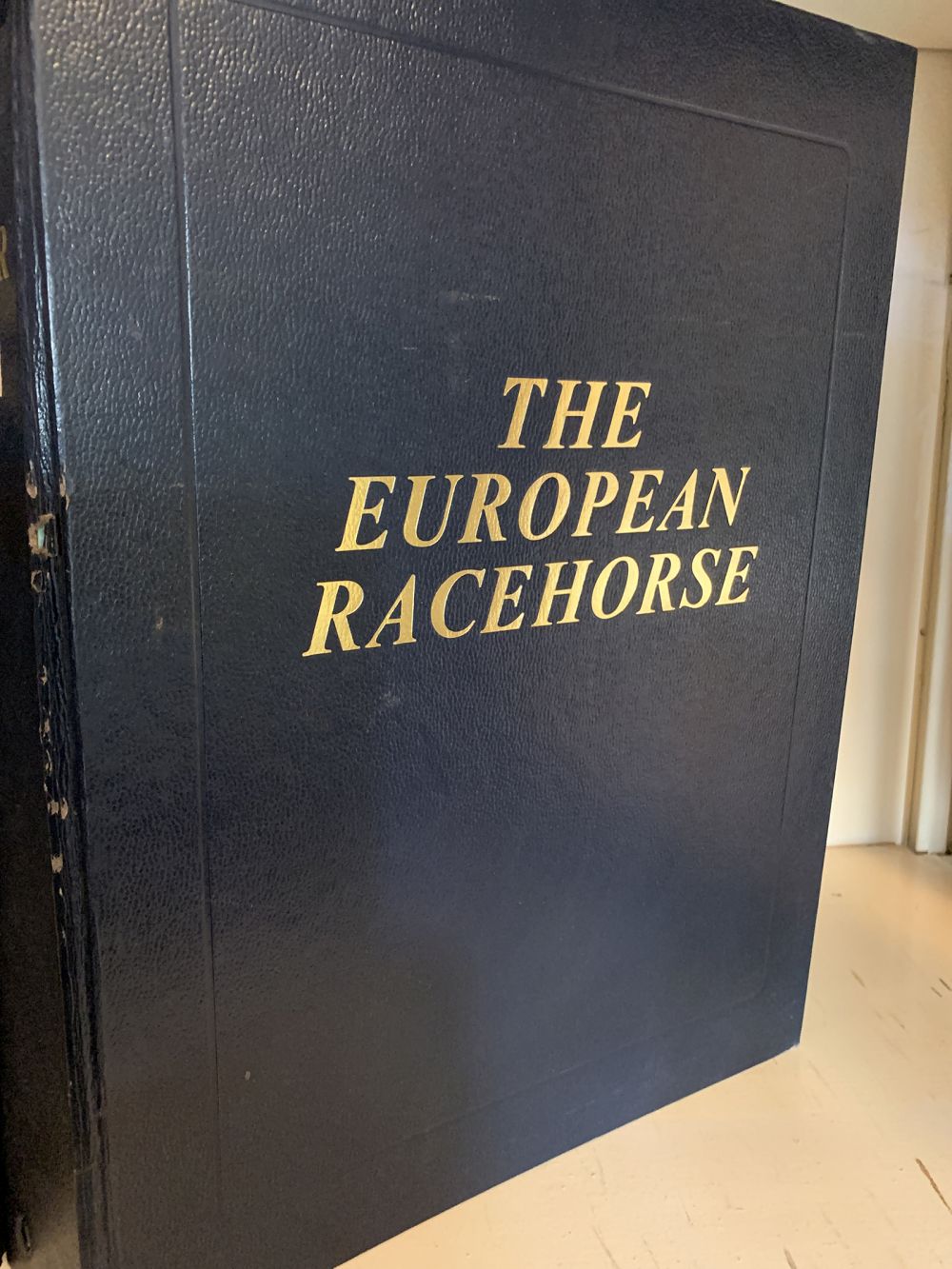 THE EUROPEAN RACEHORSE - Bild 2 aus 2