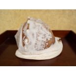 AN ITALIAN CAMEO RELIEF CARVED CONCH SHELL