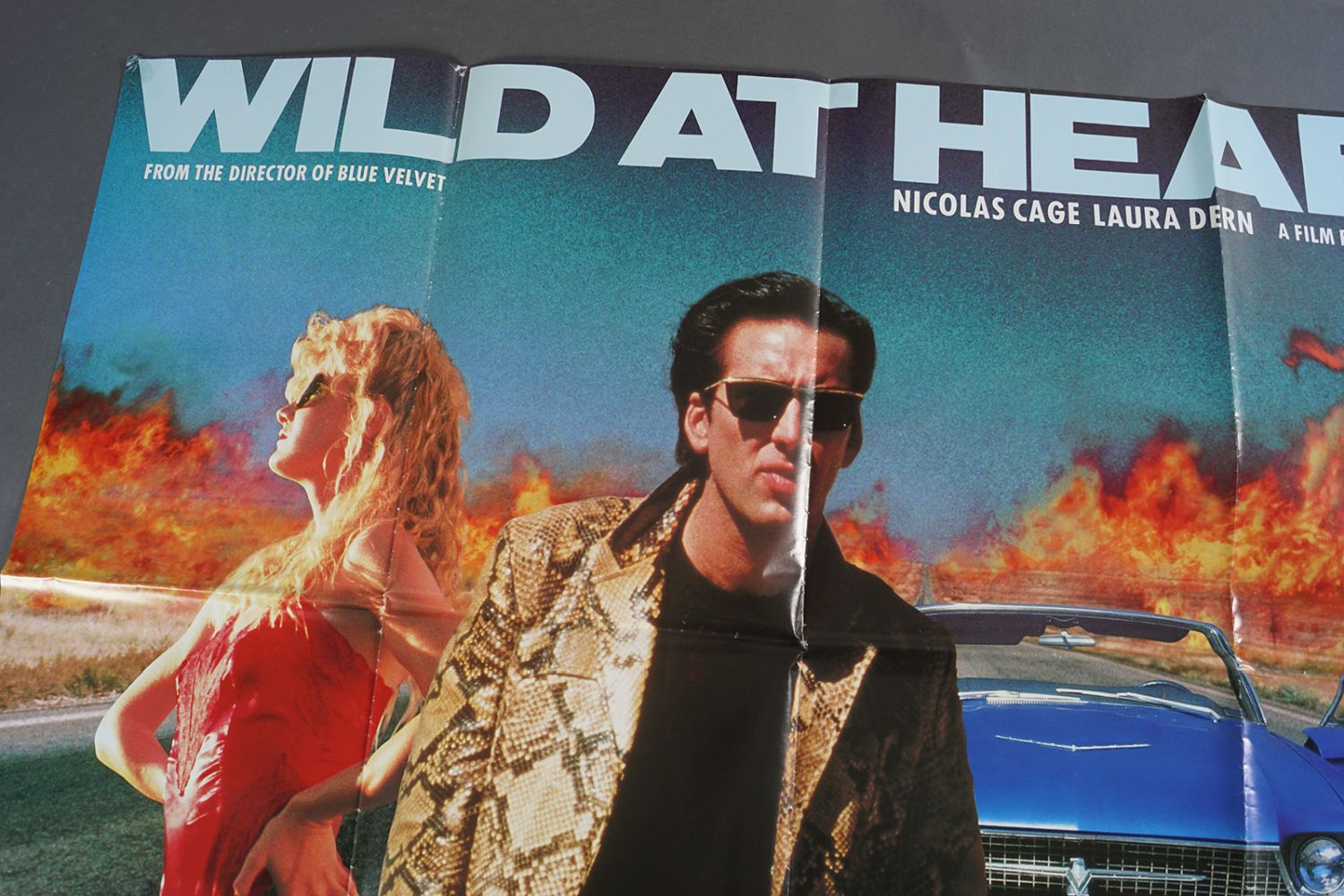 WILD AT HEART - Image 2 of 2
