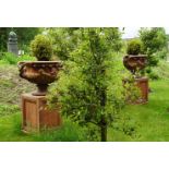 PAIR OF TERRACOTTA WARWICK URNS