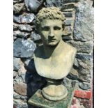 MOULDED STONE BUST