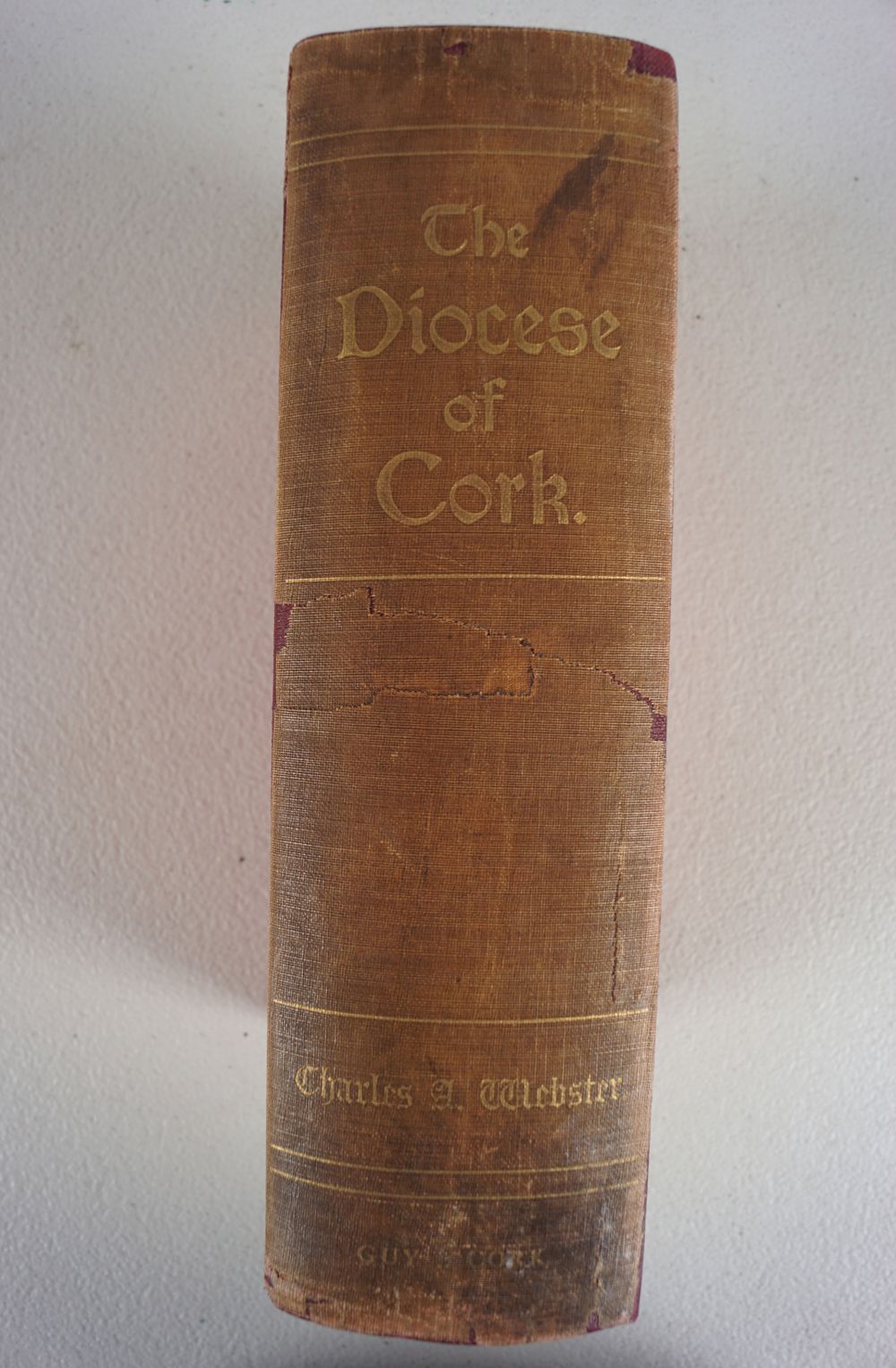 BOOK: THE DIOCESE OF CORK