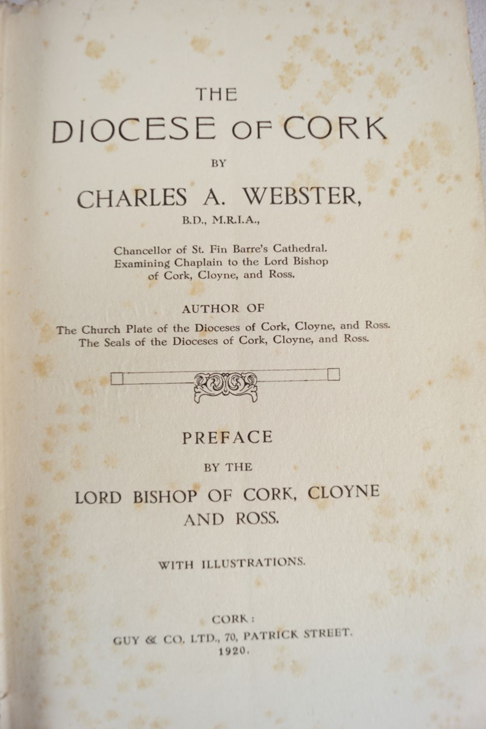 BOOK: THE DIOCESE OF CORK - Image 4 of 6