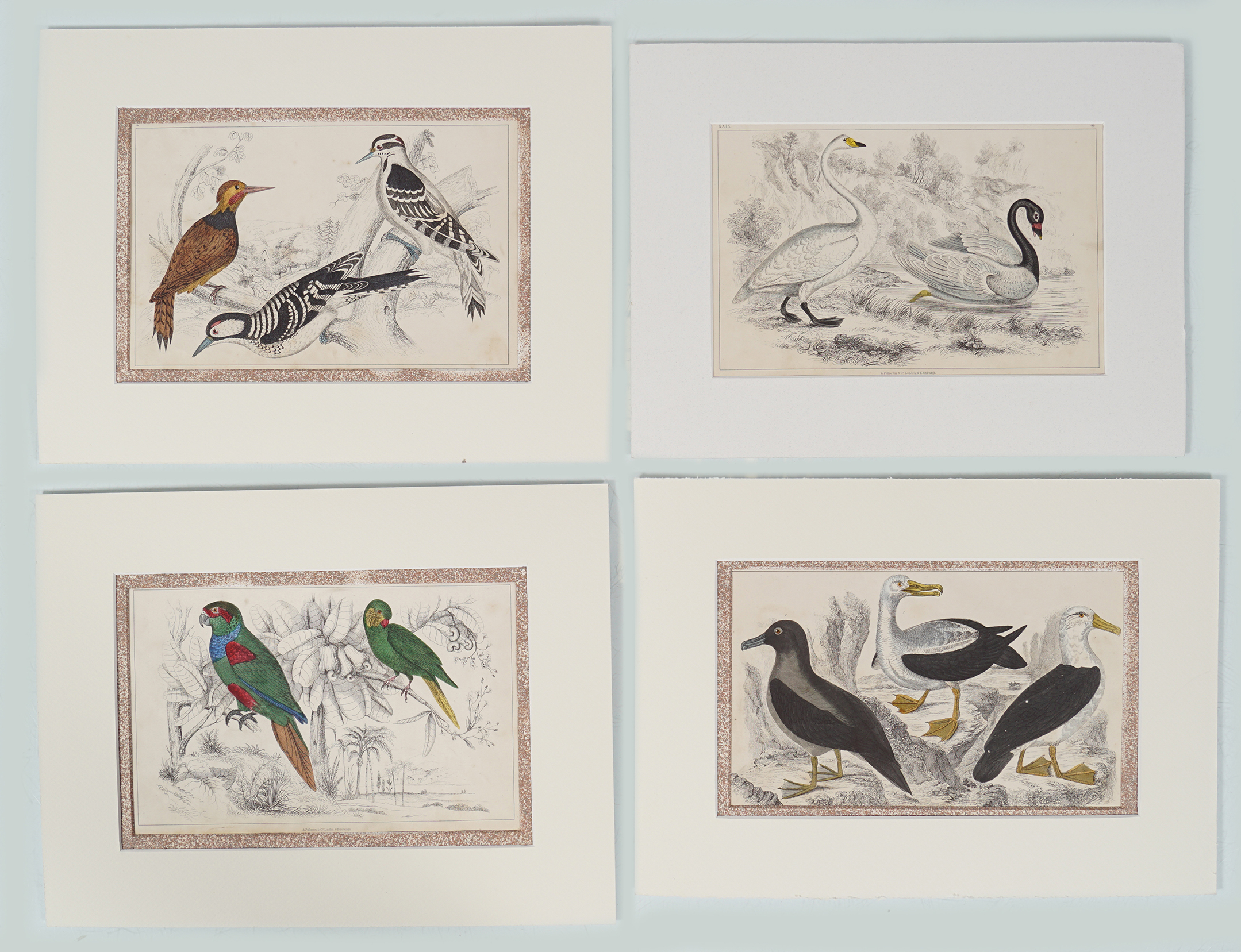 SET OF 4 18TH-CENTURY HAND COLOURED PRINTS