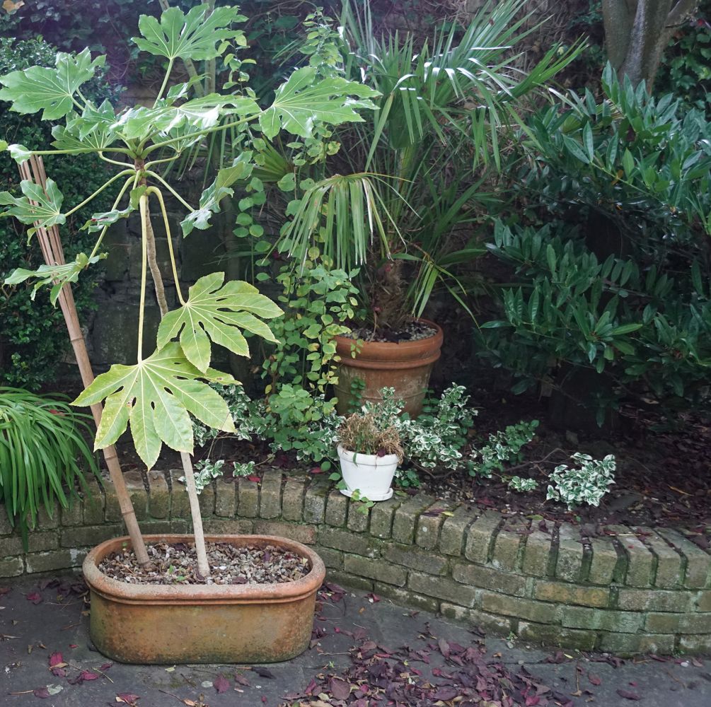 LARGE TERRACOTTA JARDINIERE