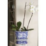 PAIR CHINESE BLUE AND WHITE JARDINIERES