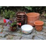 GROUP OF 5 TERRACOTTA PLANTERS