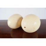 TWO LARGE OSTRICH EGGS