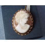 9 CT GOLD CASED CAMEO BROOCH