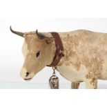 TAXIDERMY: FIGURE OF A COW