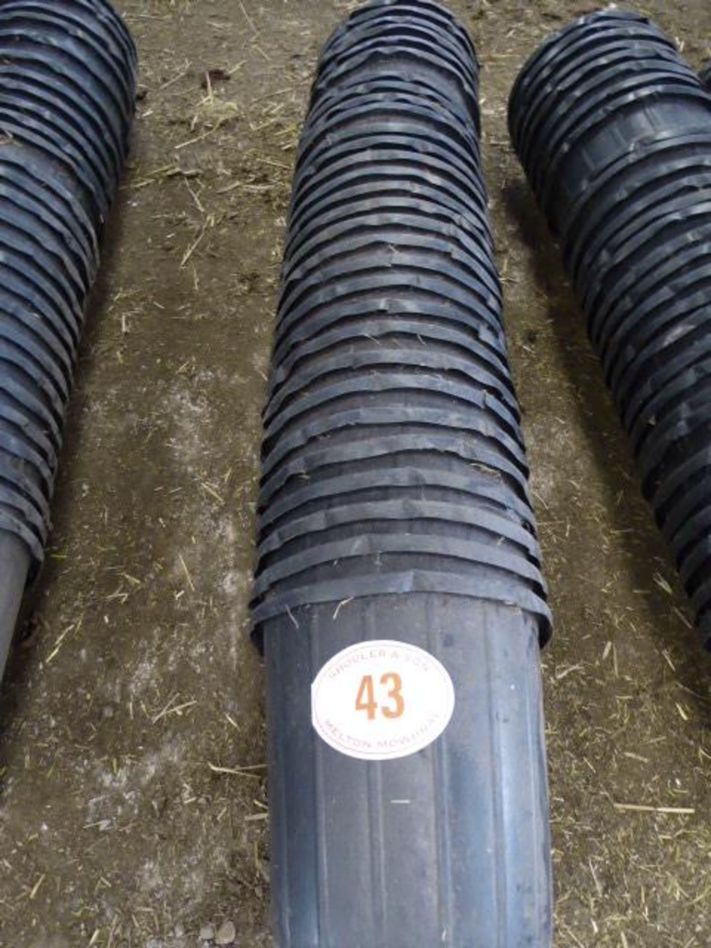 Quantity of black feed buckets