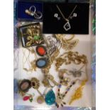 Costume jewellery- brooches, earrings,