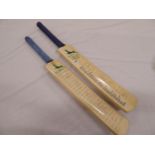 Signed cricket bats - Notts c2001 (2)