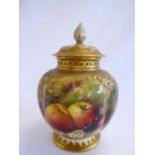 Royal Worcester pot pourri vase and cover c1891 signed Ricketts - model no 278 (13cm tall) NB it