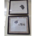 Poodle and spaniel portrait prints - Maud Earl (2) (Please note we believe signatures are facsimile