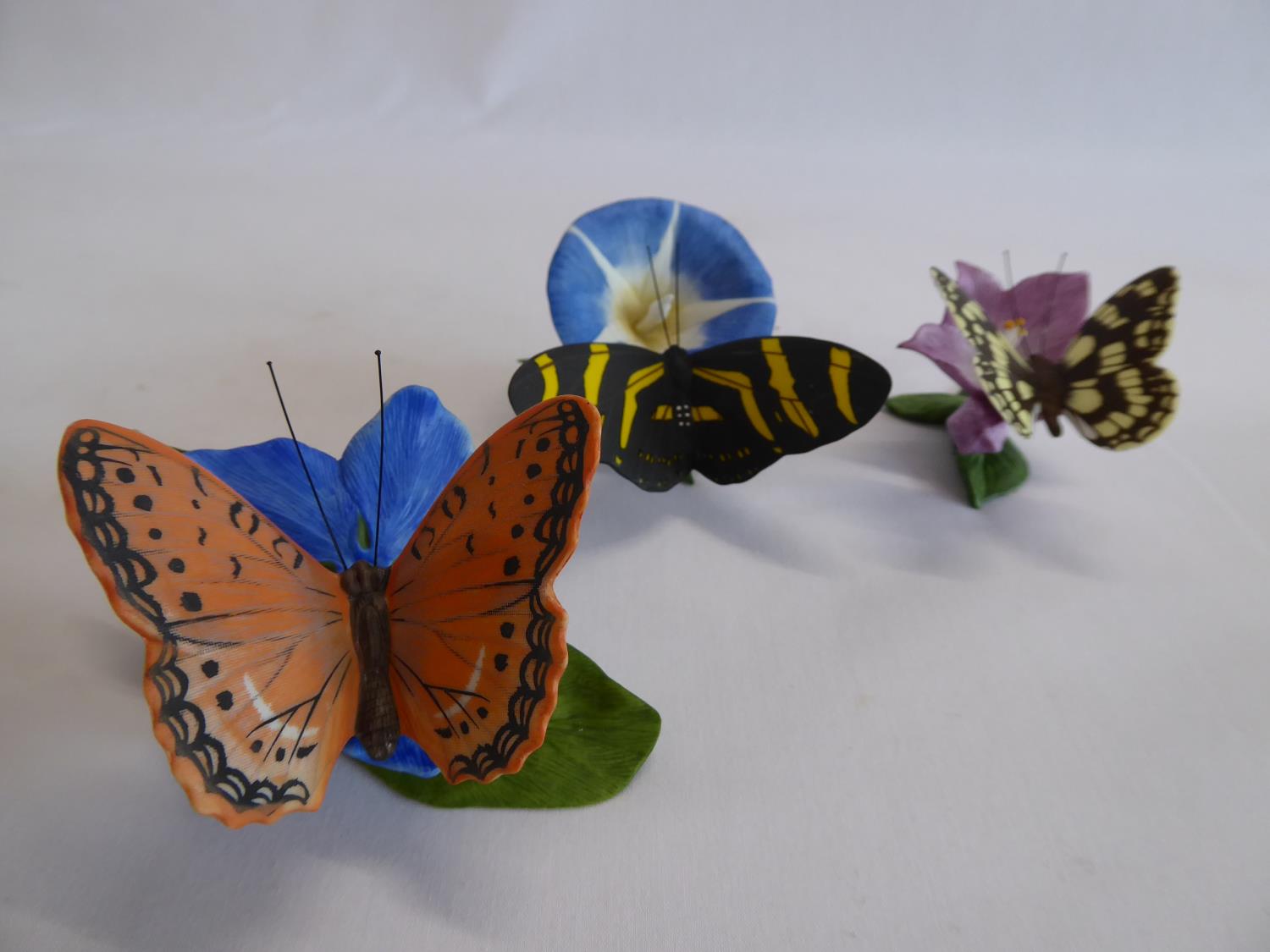 Franklin Mint porcelain butterflies of the world and paradise figures with certificates (27) - Image 3 of 6