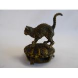 Small cold painted bronze cat on tortoise