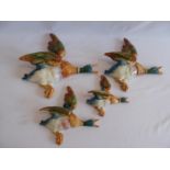 Beswick flying duck plaques (596 '1,'2,'3,