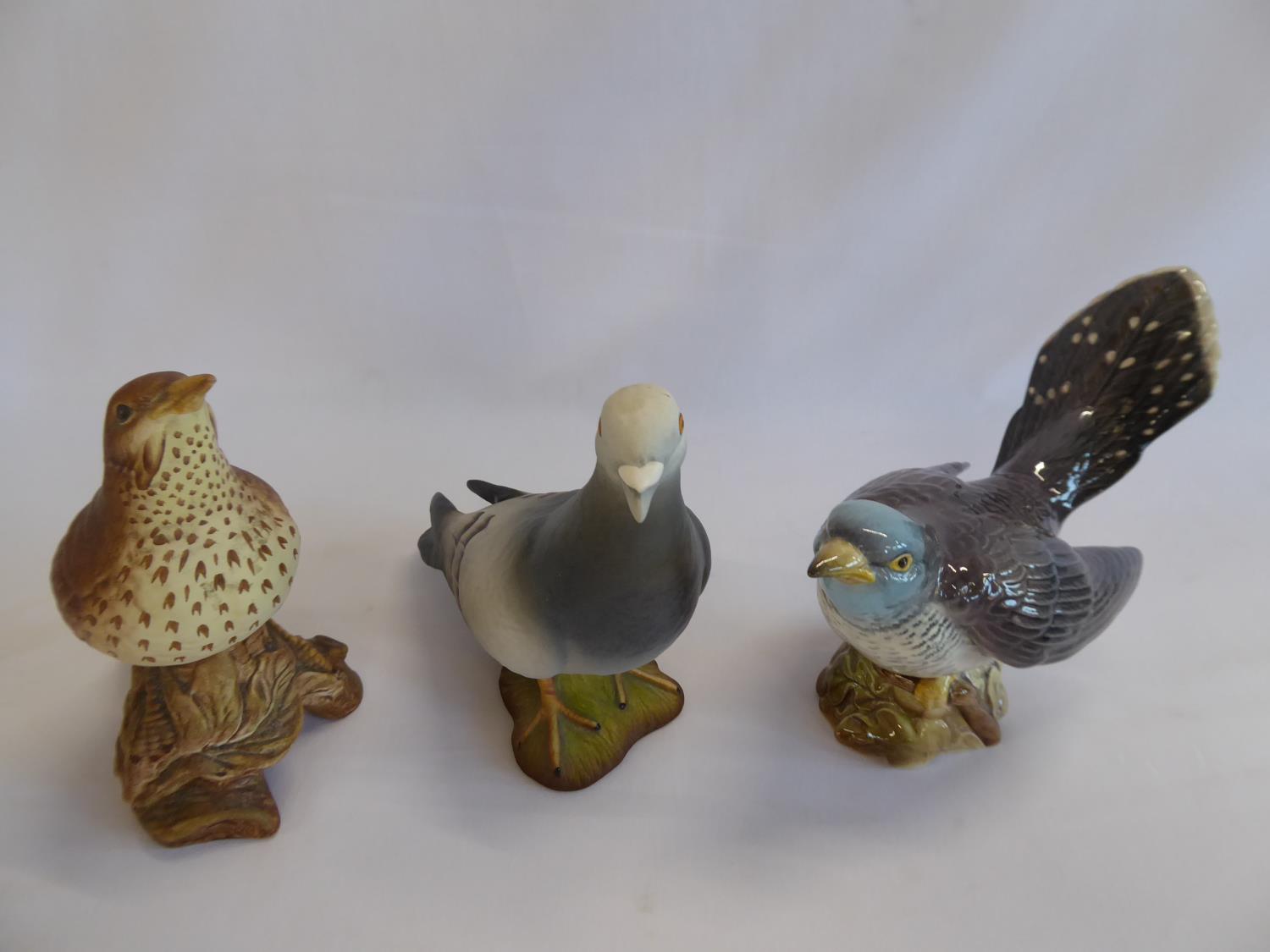 Beswick birds - cuckoo 2315, song thrush 2308,