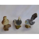 Beswick birds - cuckoo 2315, song thrush 2308,